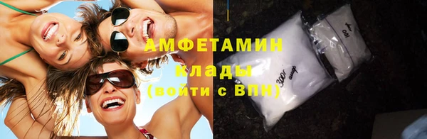 дживик Пестово