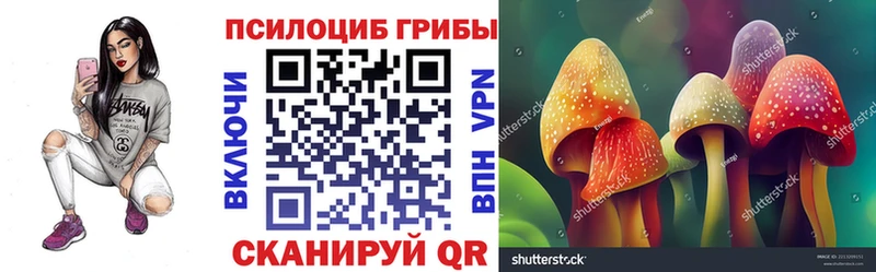 Галлюциногенные грибы мицелий  Багратионовск 